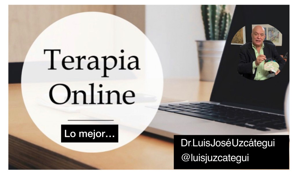 Terapia Online. Alta Eficiencia y Óptimos&nbsp;Resultados