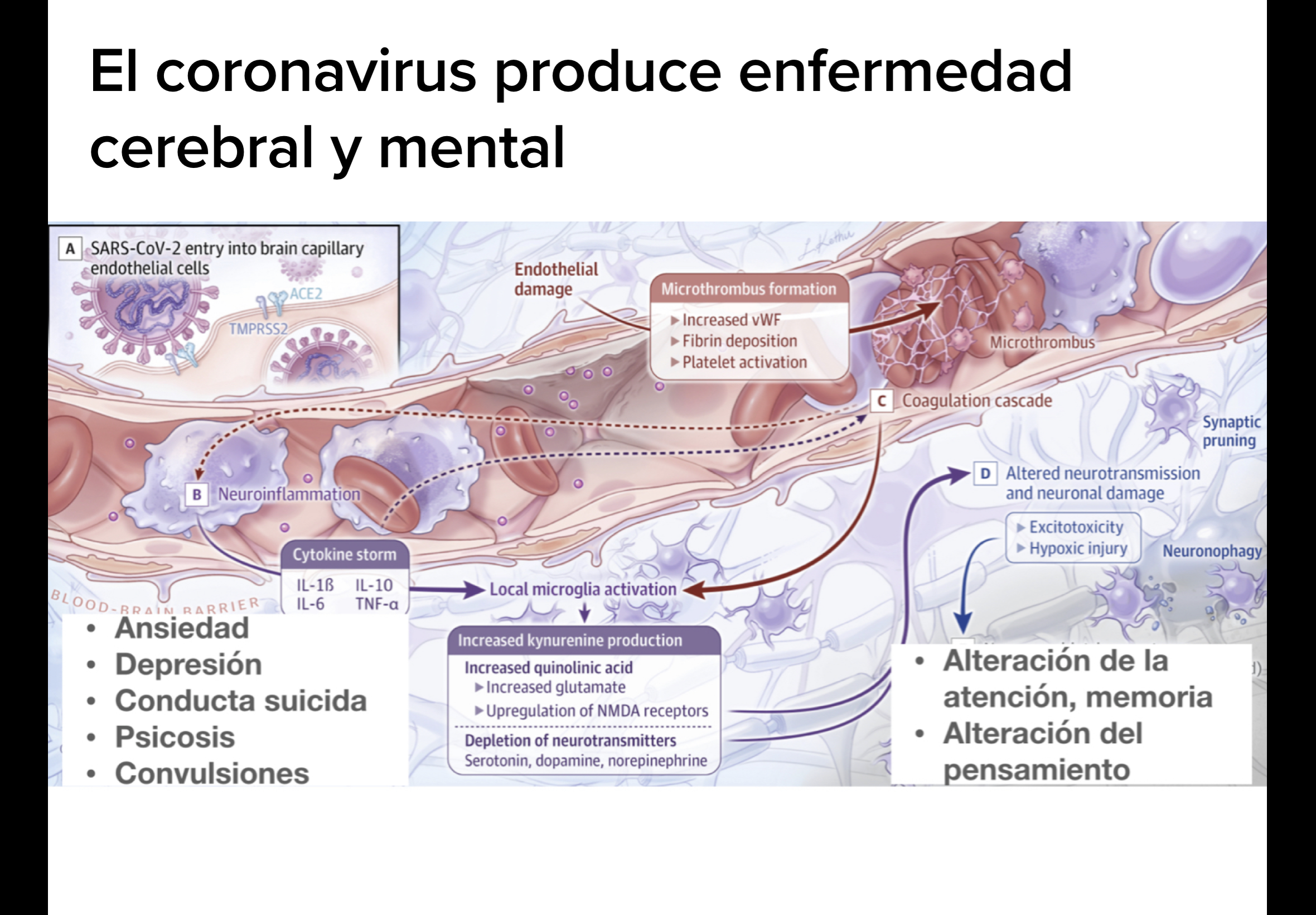 COVID-19 y Problemas Mentales
